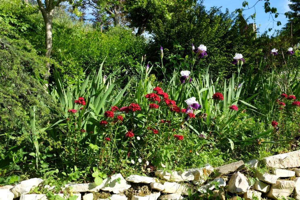 Villa Ca' Dell'Olmo Monteciccardo 外观 照片